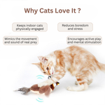 Jouet Oiseau Interactif pour Chat — Plumes Frémissantes