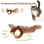 Jouet Oiseau Interactif pour Chat — Plumes Frémissantes